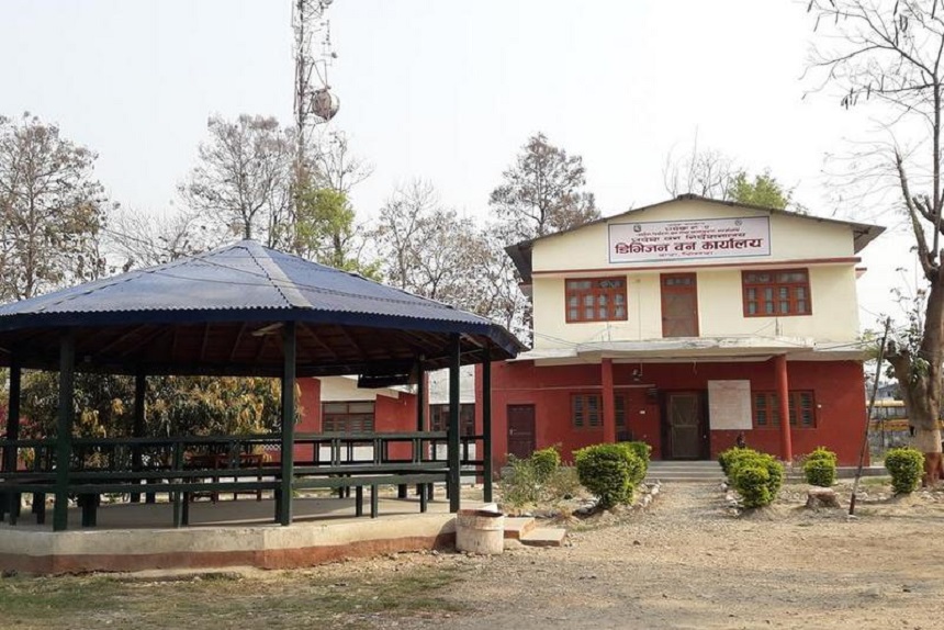 घुस लिँदै गर्दा डिएफओसहित तीनजना पक्राउ