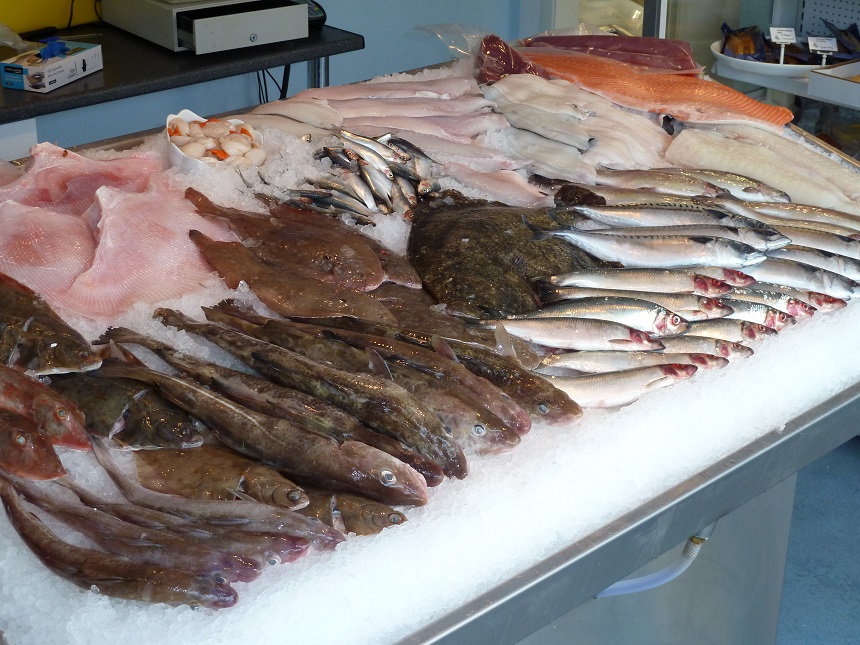 भारतमा प्रतिबन्धित माछा नेपालमा खुलेआम बिक्री