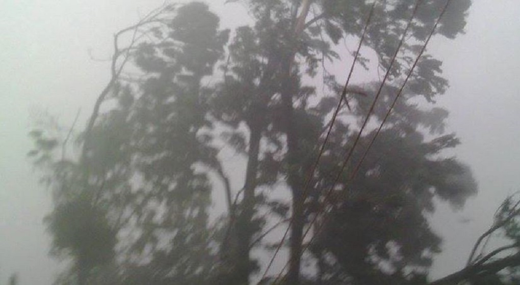 बारा–पर्सा हावाहुरी : १० महिला र ५ बालबालिकासहित २७ मृतकको सनाखत (नामावलीसहित)