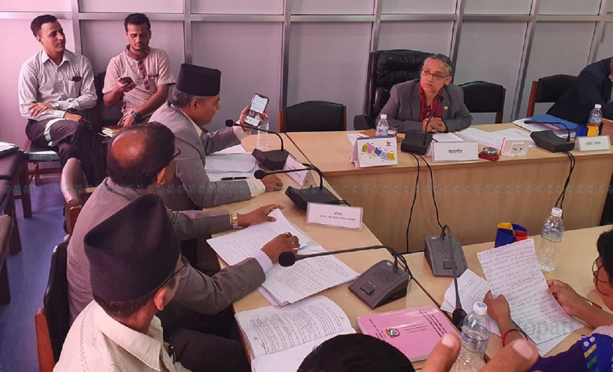 राष्ट्रपतिमाथि आक्रमण गर्दा र फेसबुकमा लेख्दा एउटै सजाय!