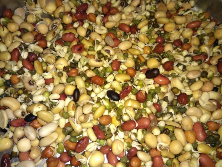 आज क्वाँटी खाने दिन, यसरी बनाऔं