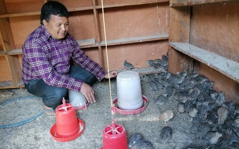 शिक्षण पेसासँगै बट्टाई पालन, मासिक २५ हजार आम्दानी