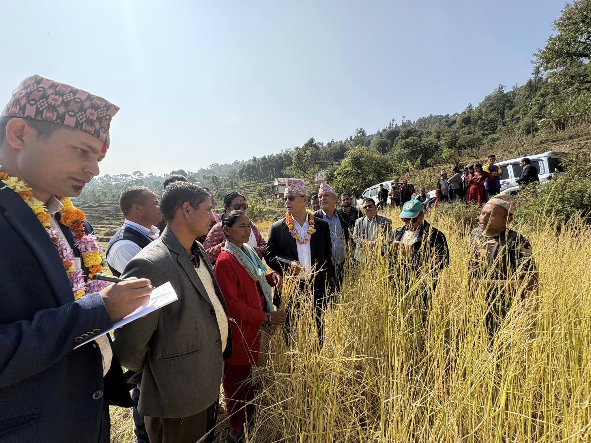 कृषिमन्त्री शाह द्धारा धानबालीको निरीक्षण