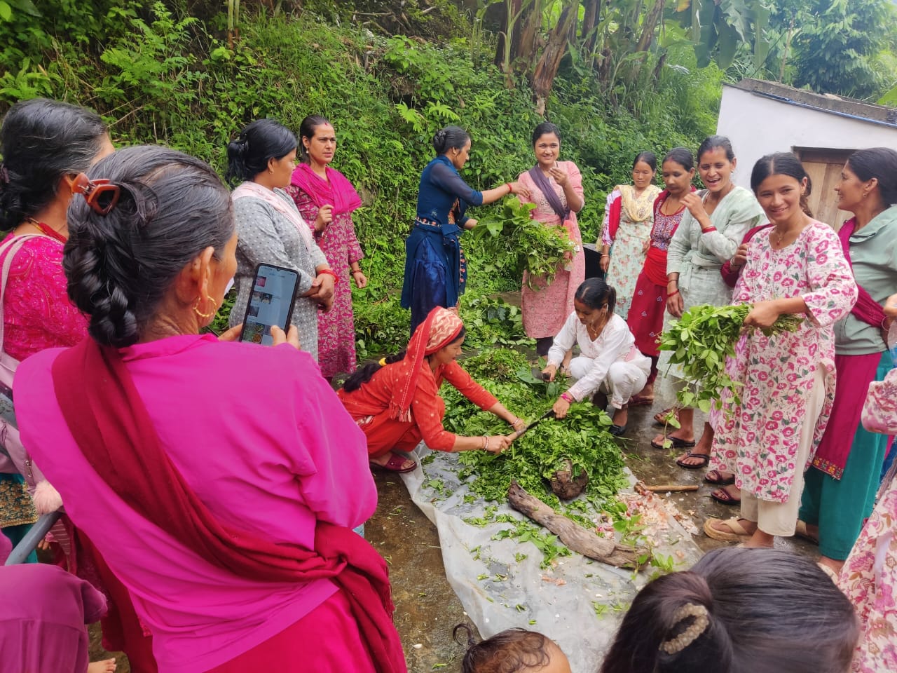 पाँच पालिकामा विषादीमुक्त भान्सा अभियान