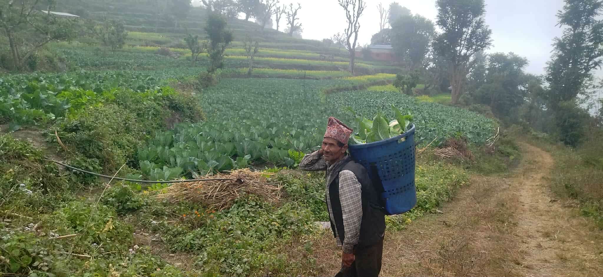 तरकारीखेतीबाट आत्मनिर्भर बन्दै किसान