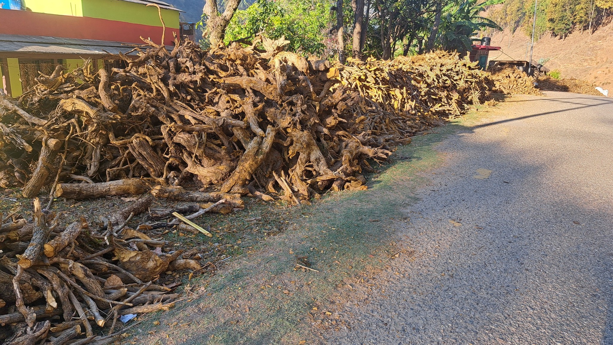 आर्थिक लोभमा उजाडिँदै गाउँ